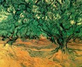 Oliviers Vincent van Gogh